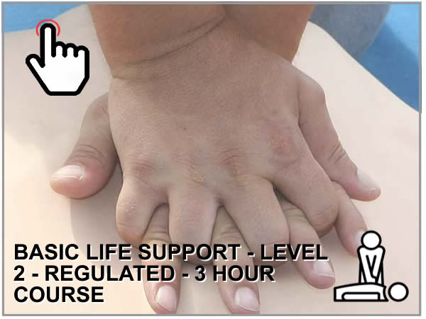 BASIC LIFE SUPPORT - LEVEL 2 - REGULATED - 3 HOUR COURSE